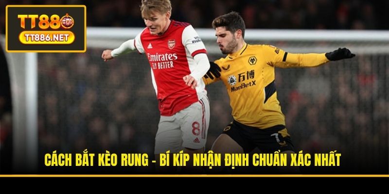 Cách Bắt Kèo Rung - Bí Kíp Nhận Định Chuẩn Xác Nhất