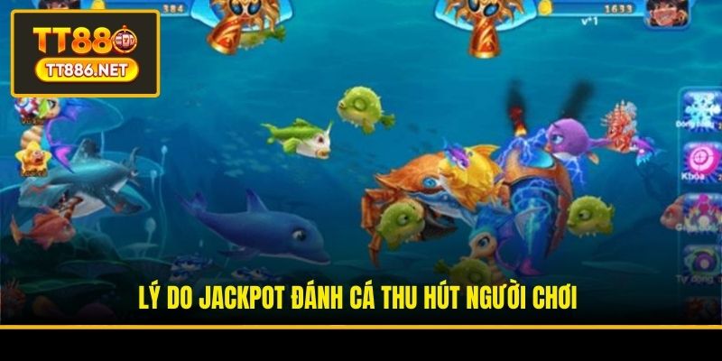 Lý do Jackpot Đánh Cá thu hút người chơi